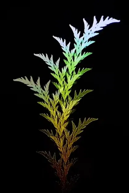 Cây dương xỉ fractal từ video chó điên rồ - Image 4