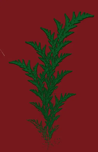 Cây dương xỉ fractal từ video chó điên rồ - Image 5