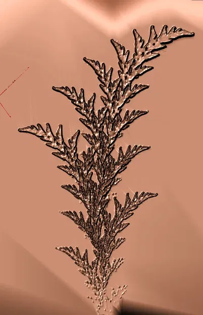 Cây dương xỉ fractal từ video chó điên rồ - Image 6