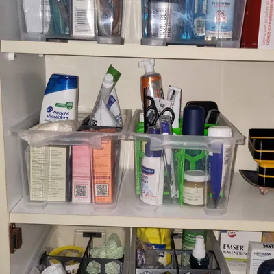 Các ngăn chia cho hộp trong Regalux 4L tại Bauhaus