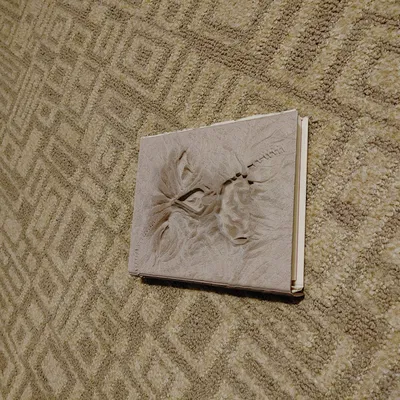 Hộp DVD Blu-Ray Book of the Dead với bản lề sống động