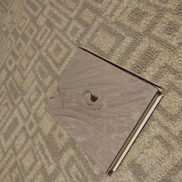 Hộp DVD Blu-Ray Book of the Dead với bản lề sống động - Image 2