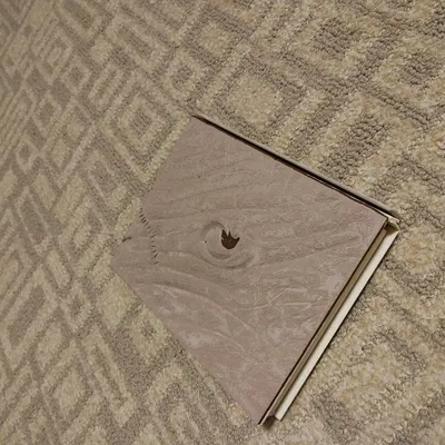 Hộp DVD Blu-Ray Book of the Dead với bản lề sống động