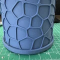 Chậu cây Voronoi và đế kèm theo - Thumbnail 4