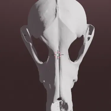 Mặt nạ sọ của sói xám