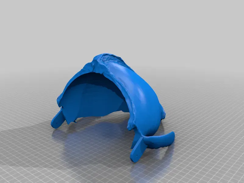 Mặt nạ sọ của sói xám - Image 10