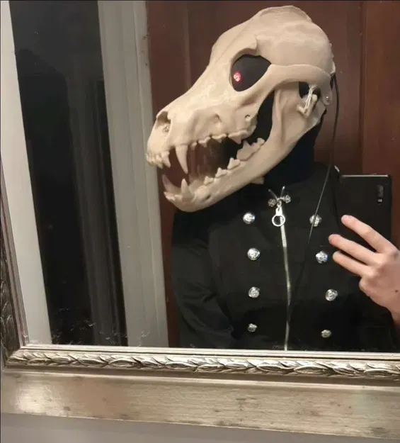 Mặt nạ đầu lâu sói xám cố định - Image 1