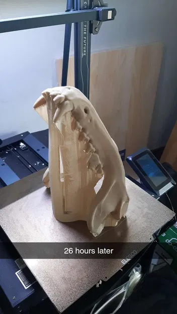 Mặt nạ đầu lâu sói xám cố định - Image 3