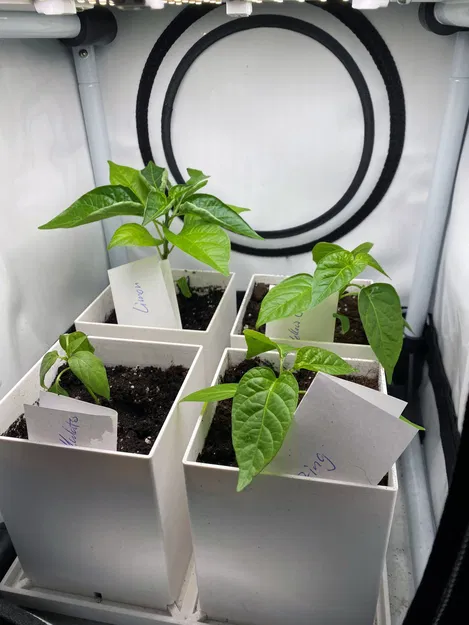 Chậu trồng cây trong nhà Quad cho hộp trồng mini (30x30) - Image 3