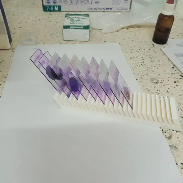 Giá phơi đồ - Image 1