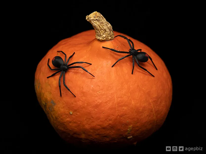 Nhện góa phụ đen trang trí Halloween bằng filament linh hoạt - Image 2