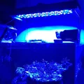 Đèn LED DIY 150W cho bể cá san hô - Thumbnail 19