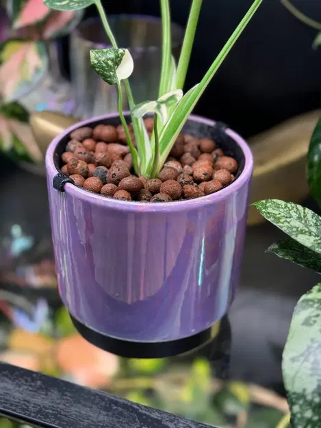 Lớp lót chậu cây tùy chỉnh cho LECA hoặc bán thủy canh - Image 3