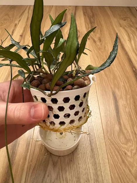 Lớp lót chậu cây tùy chỉnh cho LECA hoặc bán thủy canh - Image 5