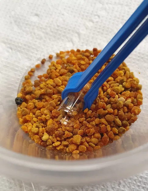 Kẹp hoặc nhíp kích thước 00 cho viên nang - Image 1