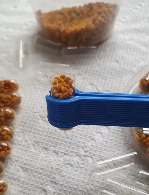 Kẹp hoặc nhíp kích thước 00 cho viên nang - Image 2