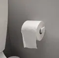 Giá đỡ cuộn giấy vệ sinh tiêu chuẩn - Thumbnail 1