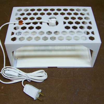 Bẫy bọ chét với đèn chiếu sáng và miếng dính