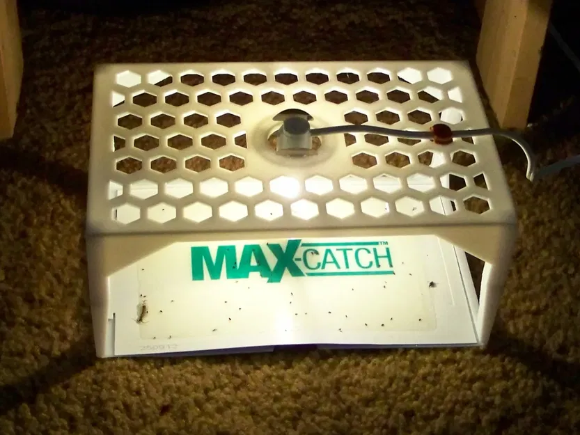 Bẫy bọ chét với đèn chiếu sáng và miếng dính - Image 4