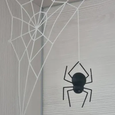 Nhện và mạng nhện trang trí Halloween