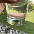 Vỏ đựng AirTag chống nước cho vòng cổ thú cưng - Thumbnail 10