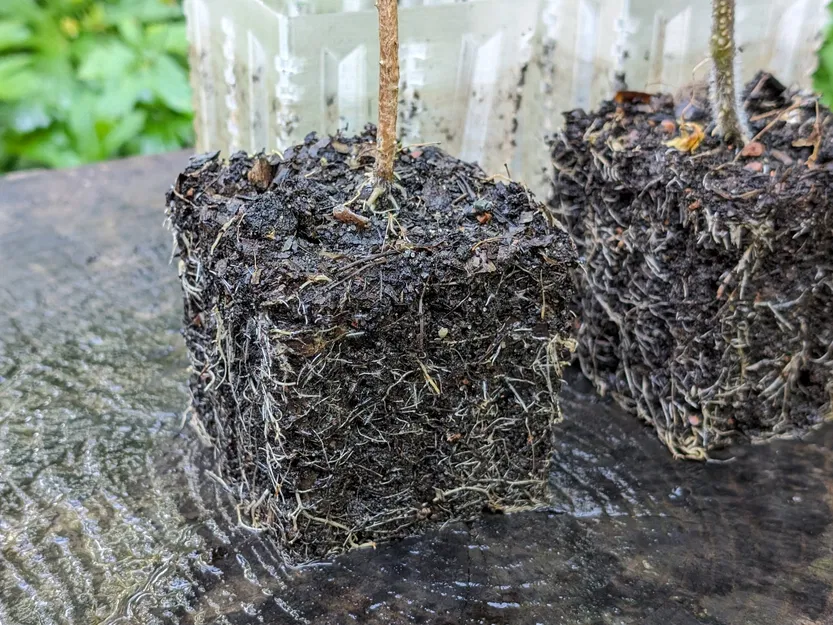 Khay ươm hạt giống với tính năng cắt tỉa không khí cho bình ... - Image 2