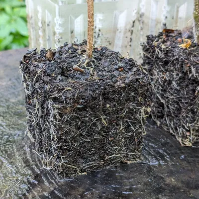 Khay ươm hạt giống với tính năng cắt tỉa không khí cho bình ...