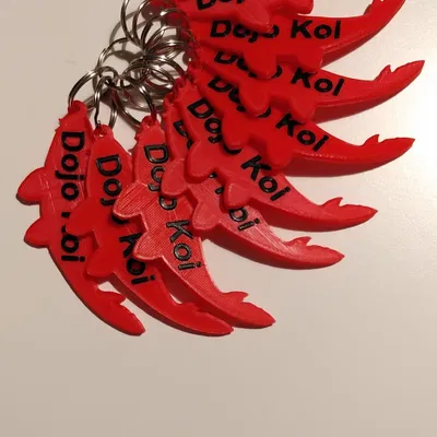 **Móc chìa khóa karate với chữ nổi hai màu**