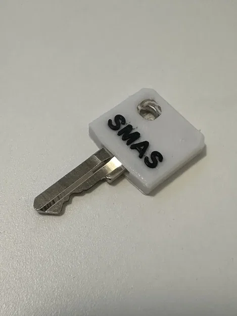 Nắp chìa khóa MA2 không nhãn cho định dạng chìa AG1S - Image 1
