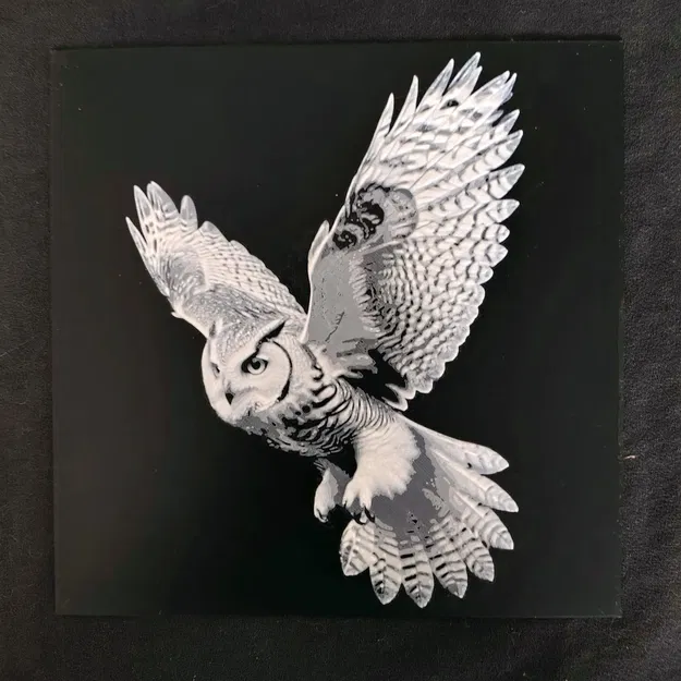 Cú đêm đen và trắng phong cách nghệ thuật HueForge - Image 1