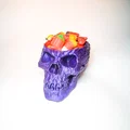 Bát kẹo hình đầu lâu cho Halloween - Thumbnail 10