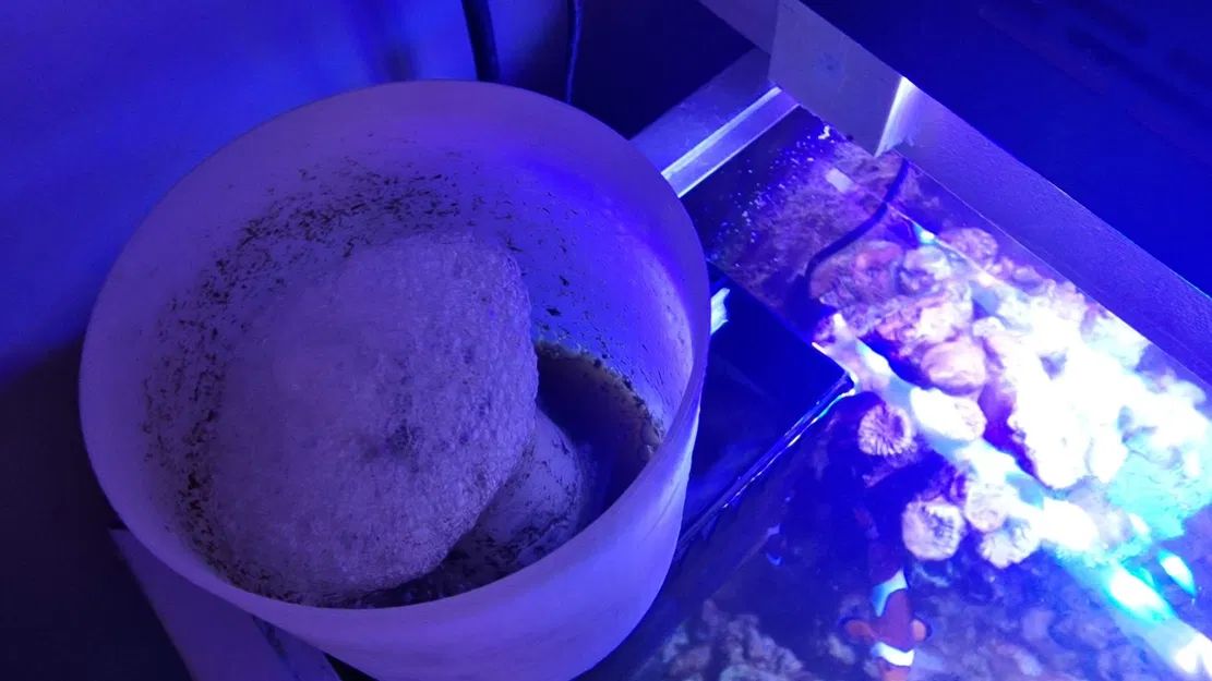 Bộ tách protein và tràn nước 2-trong-1 cho bể cá - Image 5