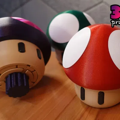 Hộp đố xoắn in sẵn hình nấm - Chưa niêm phong