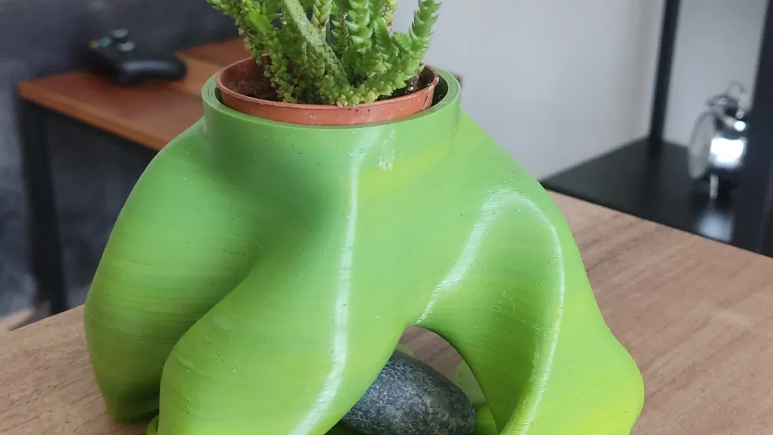 Chậu bonsai trang trí cho không gian sống - Image 1