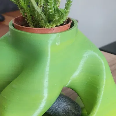 Chậu bonsai trang trí cho không gian sống