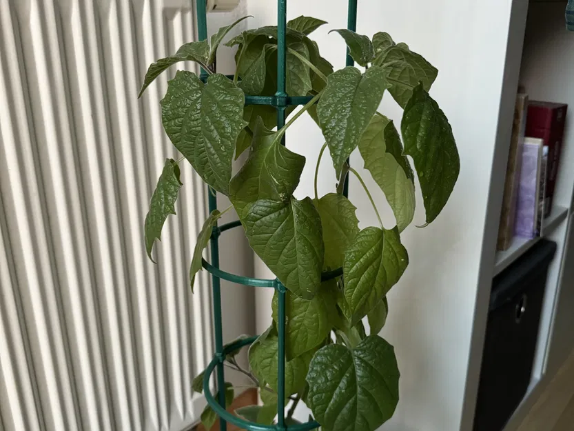 Giá đỡ cây trồng mô-đun xếp chồng linh hoạt - Image 1