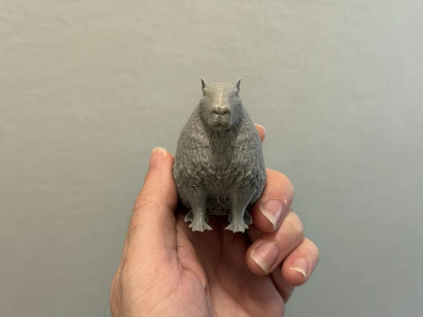 Bạn đồng hành capybara nhỏ dễ thương trong ngày căng thẳng - Image 5