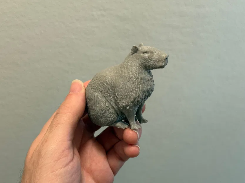 Bạn đồng hành capybara nhỏ dễ thương trong ngày căng thẳng - Image 7