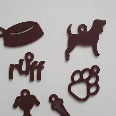 Hình ảnh chó gây hại cho mèo