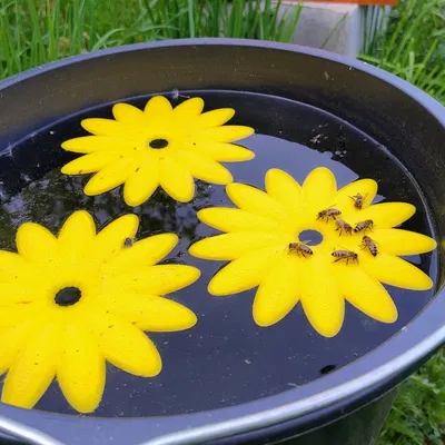 Bệ nước nổi cho ong với hoa 13 cánh