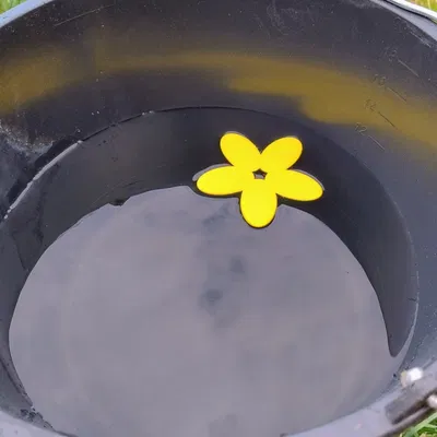 Bệ nước nổi cho ong với hoa 13 cánh