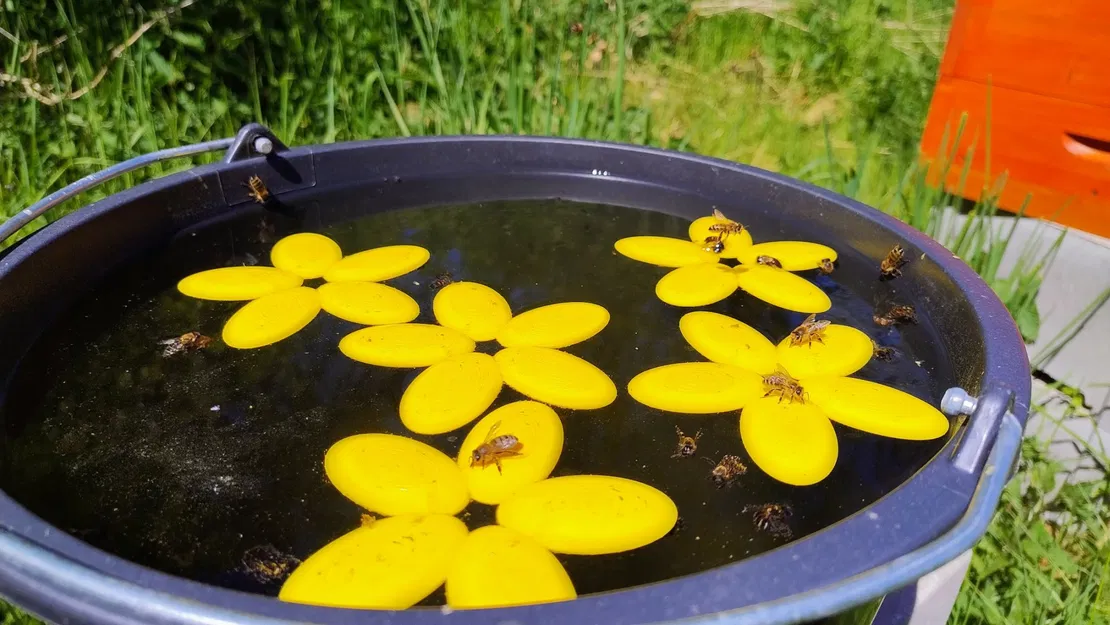 Bệ nước nổi cho ong với hoa 13 cánh - Image 8