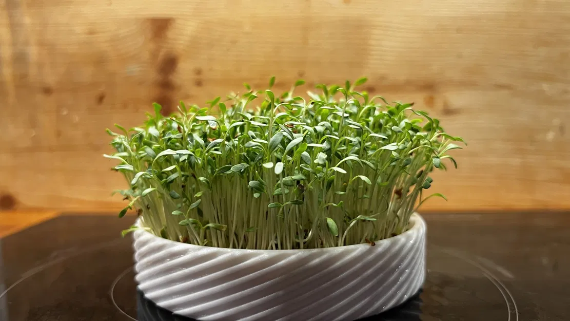 Bộ chậu gieo hạt cho microgreens tại nhà - Image 1