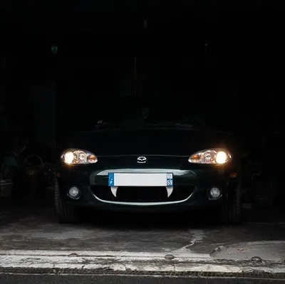 Răng miệng Miata không cần phụ kiện bổ sung