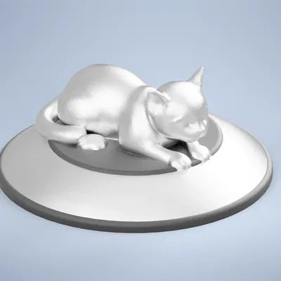 Mèo dễ thương cuộn tròn trong tư thế thư giãn