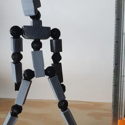 Nhân vật hành động TP-Unit01 có thể tạo dáng in 3D