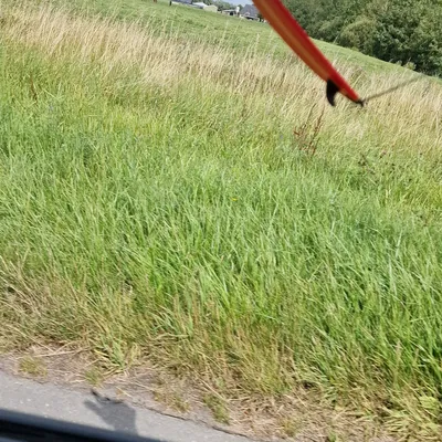 Bộ sưu tập ván lướt ngón tay FingerSurfBoard