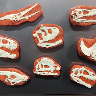 Nam châm hộp sọ khủng long in 3D độc đáo