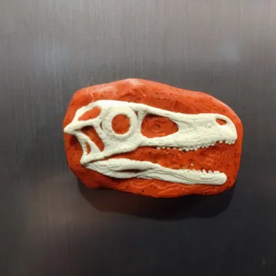 Nam châm hộp sọ khủng long in 3D độc đáo