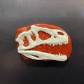 Nam châm hộp sọ khủng long in 3D độc đáo - Thumbnail 7